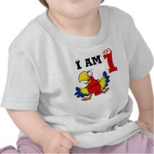Presente do partido de primeiro aniversario, papag tshirts