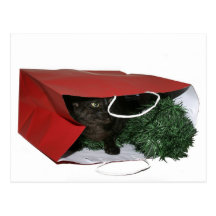 Presente especial do Natal Cartão Postal