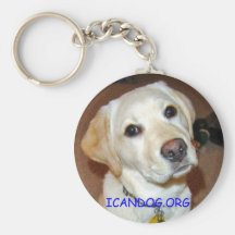 Preste serviços de manutenção ao chaveiro do cão