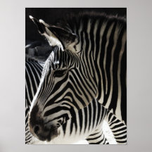 preto e branco poster