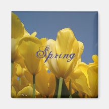 primavera