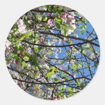 Primavera Adesivo Em Formato Redondo