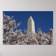 Primavera do monumento de Washington Posters