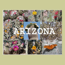 Primavera no cartão da arizona cartées postais