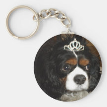 princesa descuidado do rei Charles Chaveiro