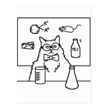Professor Gato Cartao Postal