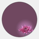 Profundamente - margarida cor-de-rosa adesivos