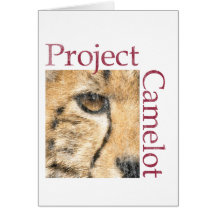 Projeto Camelot (olhar resistido) Cartão