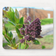 Promessa do Lilac Mousepad