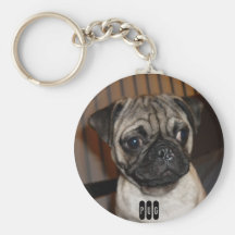 pug chaveiro