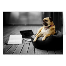 Pug em repouso cartoes