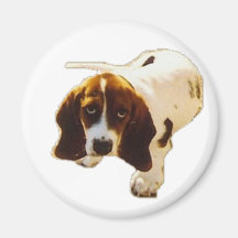 Puppy_Look de solo Imas