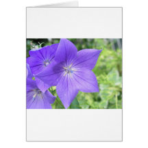 Purple_flowers Cartão