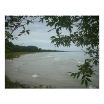 Quadro da árvore da praia convite