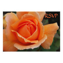 Quinceanera convida rosas da laranja de RSVP Convite