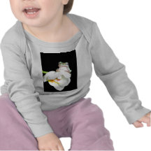 rã de árvore na orquídea camiseta