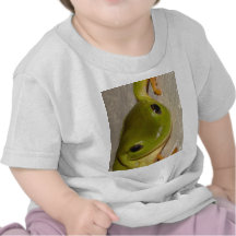 Rã na parede camiseta