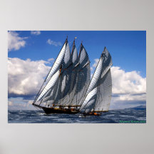 raça da escuna posters