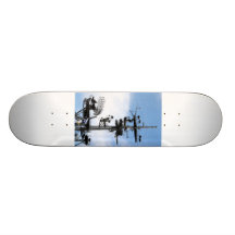 Radar Skates