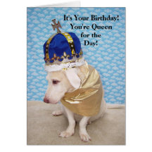 Rainha do aniversário cartões
