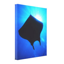 RAIO DE MANTA IMPRESSÃO DE CANVAS ENVOLVIDAS