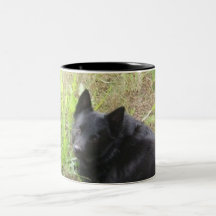 raposa pequena caneca