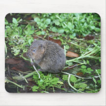 Ratazana de água mousepads