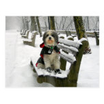 REALMENTE, REALMENTE… EU AMO A NEVE!! CARTÕES POSTAIS