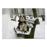 REALMENTE, REALMENTE, EU AMO A NEVE! CARTOES