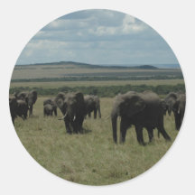 Rebanho Maasai Mara do elefante, Kenya Adesivos Redondos