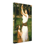 Recolhendo belas artes do ~ de Flor da amêndoa (19 Impressão De Canvas Esticada