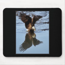 &reflection da águia mouse pad