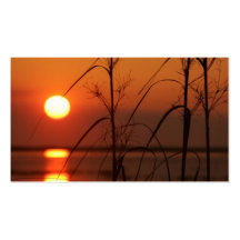Reflexão de Sun da noite Modelo De Cartões De Visita