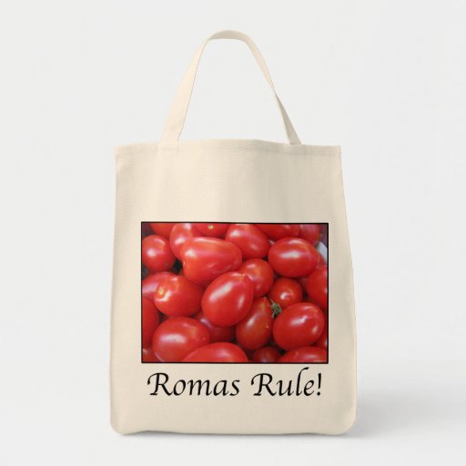 REGRA DE ROMAS BOLSAS DE LONA