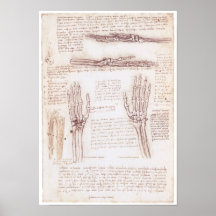 Representação da mão, Leonardo da Vinci Pôsteres