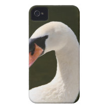 Retrato da cisne iPhone 4 capas