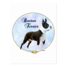Retrato de Boston Terrier Cartão Postal