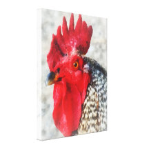 Retrato de um galo impressão de canvas envolvidas