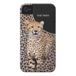 Retrato e pele da chita - personalize iPhone 4 capas