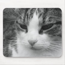Retrato preto e branco Mousepad do gato de gato ma
