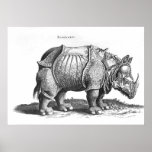 Rinoceronte, 'de Historia Animalium Impressão