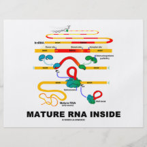 RNA maduro para dentro Panfletos