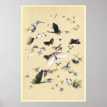 Rolo japonês legal da borboleta do ukiyo-e do vint posters