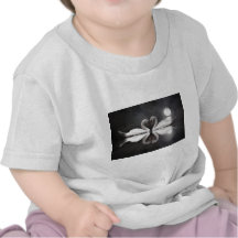 Romance da cisne camisetas