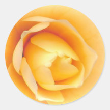 Rosa amarelo adesivo