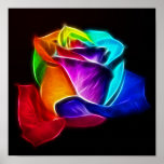 Rosa bonito das cores 5 pôsteres