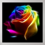 Rosa bonito das cores No2 Pôsteres