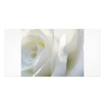 Rosa branco cartao com foto personalizado