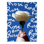 Rosa branco, parte traseira do azul, rosa escrito  cartao postal