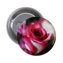 ROSA COR-DE-ROSA E BRANCO BOTON